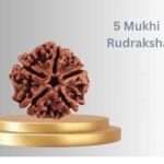 5 Mukhi Rudraksha Benefits PDF: Why This Bead Is More Than Just a Necklace 5 mukhi rudraksha benefits PDF