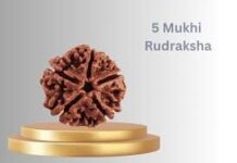 5 Mukhi Rudraksha Benefits PDF: Why This Bead Is More Than Just a Necklace 5 mukhi rudraksha benefits PDF