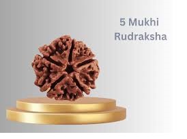 5 mukhi rudraksha benefits PDF 5 mukhi rudraksha benefits PDF