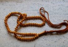 Why seekers talk about the benefits of 15 Mukhi Rudraksha benefits of 15 mukhi rudraksha