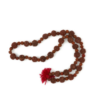 Why Are Rudraksha Mala Bannerghatta Road So Popular Among Spiritual Seekers Today? Rudraksha mala Bannerghatta Road