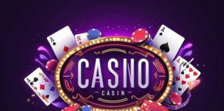 Lotus365 vs Other Betting Platforms: Why It Leads the Market Lotus365