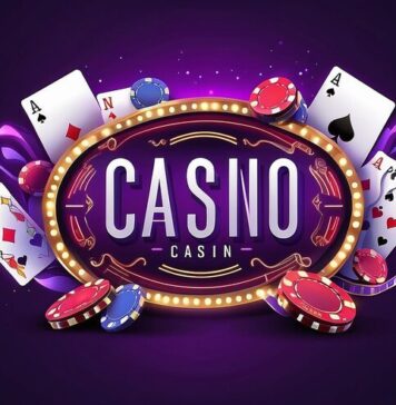 Lotus365 vs Other Betting Platforms: Why It Leads the Market Lotus365