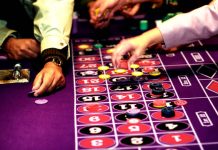 365 Lotus, Lotus Exchange Login, and Lotus365 Cricket Betting: A Season Planning Guide lotus365